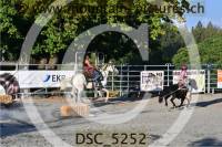 DSC_5252