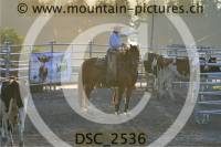 DSC_2536