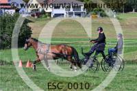 ESC_0010