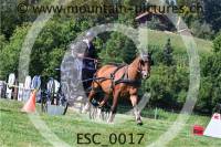 ESC_0017