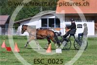 ESC_0025