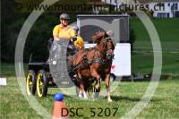 DSC_5207