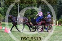 DSC_5319