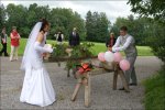 Hochzeitsfotos
