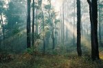 Australien