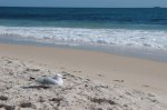 Australien