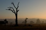 Australien