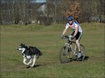 Tierbilder