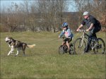 Tierbilder
