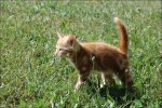 Tierbilder