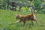 Tierbilder