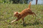 Tierbilder
